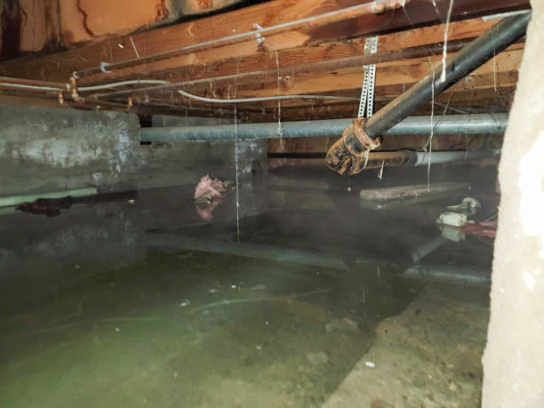 Best Water damage restoration services  in Clarksdale, MS