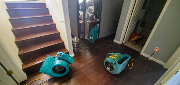 Best 24-hour water damage restoration  in Clarksdale, MS