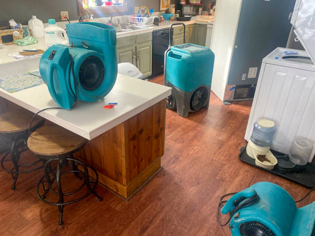 Best Professional water damage repair  in Clarksdale, MS