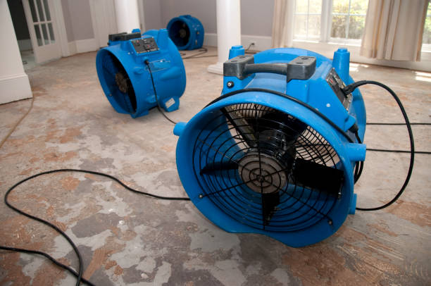 Best Ceiling water damage repair  in Clarksdale, MS