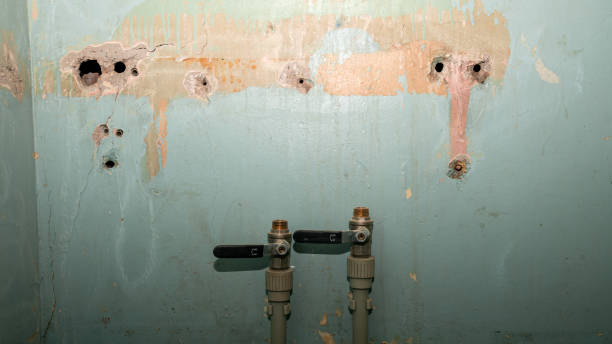 Best Flood restoration services  in Clarksdale, MS