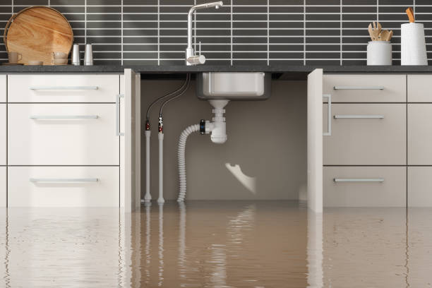 Best Water damage contractors near me  in Clarksdale, MS
