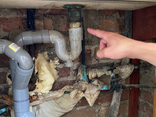  Clarksdale, MS Water damage restoration Pros