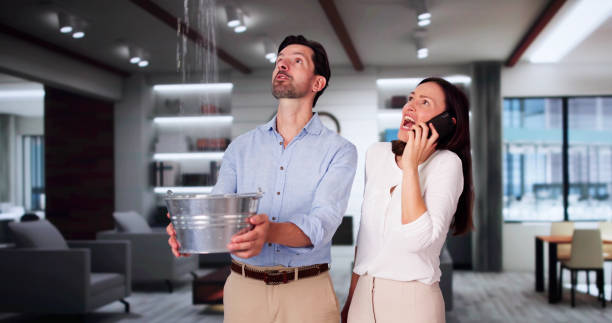Best Basement water damage restoration  in Clarksdale, MS